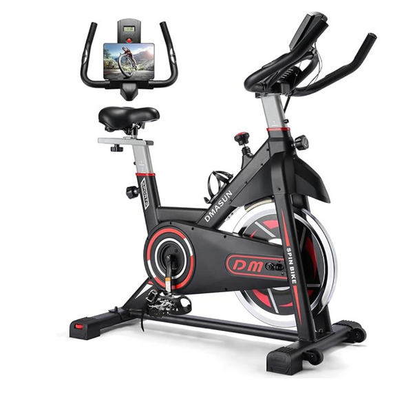 Dmasun Indoor Cycling Exercise Bike with Comfortable Seat Cushion