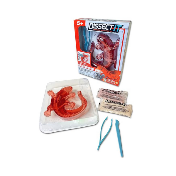 Dissect It Salamander STEM Toy Kit