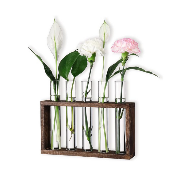 5 Glass Test Tubes Plant Terrarium with Wooden Stand