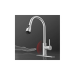 WaterSong 4Mode Pull Down Kitchen Sprayer