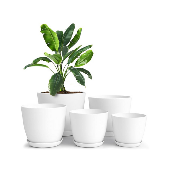 Utopia Home Plant Pots with Drainage