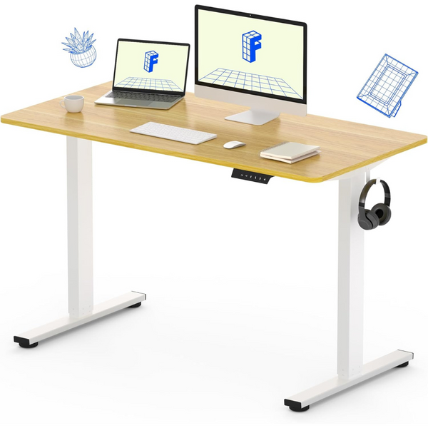 FLEXISPOT Standing Desk 48 x 24 Inches Height Adjustable Desk