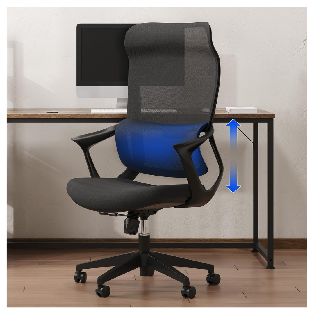 FlexiSpot Wide Seat Ergonomic Office Chair