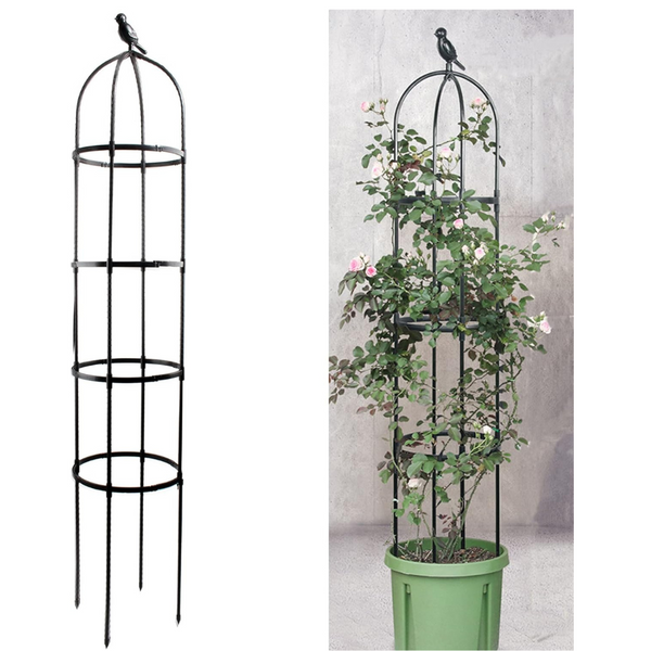 Anothera 6ft Rustproof Metal Pipe Garden Trellis for Climbing Plants