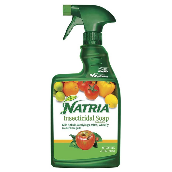 Natria 24 oz Insecticidal Soap Insect Kille