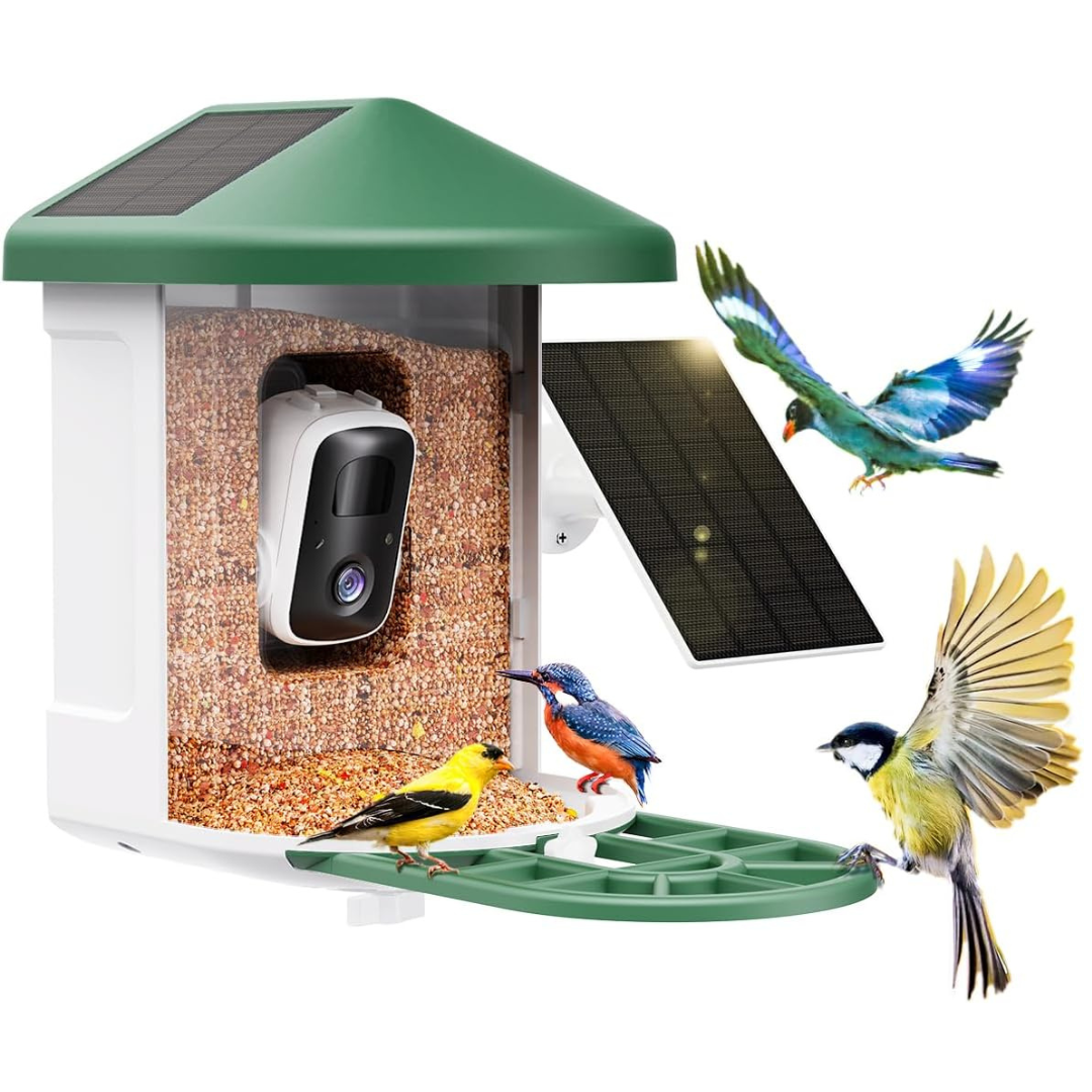Smart Bird Feeder Camera with AI Identify Bird Species & Dual Solar Panel