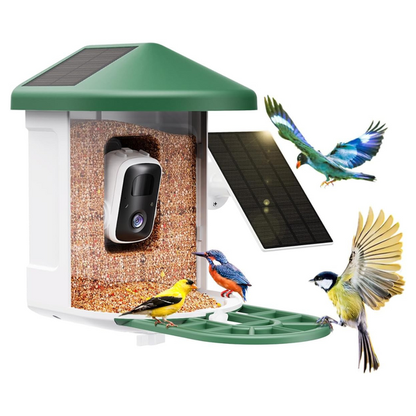 Smart Bird Feeder Camera With AI Identify Bird Species & Dual Solar Panel