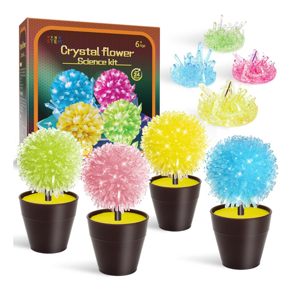 Amosting Kids Arts And Crafts Crystal Growing Kit