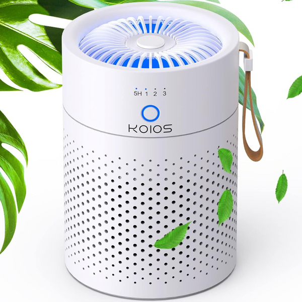 H13 True Hepa Filter Air Purifier With USB Cable, Night Light & Timer