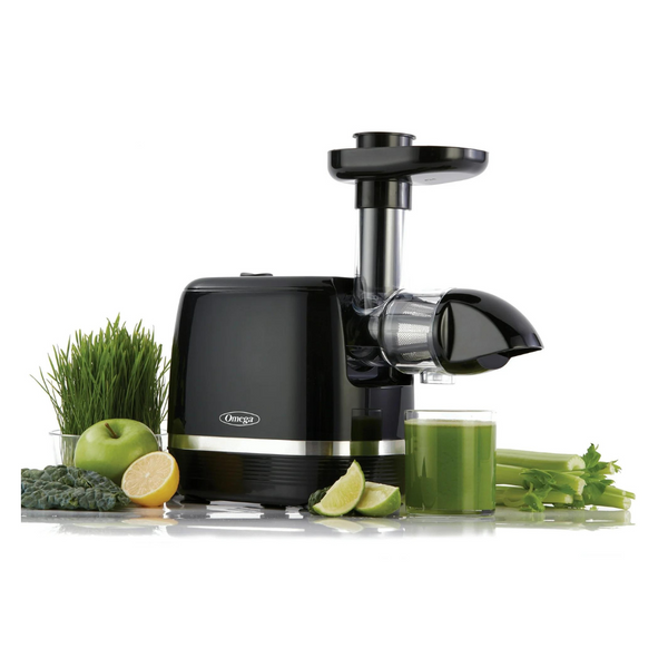 Omega Cold Press 365 Slow Masticating Juice Extractor Juicer