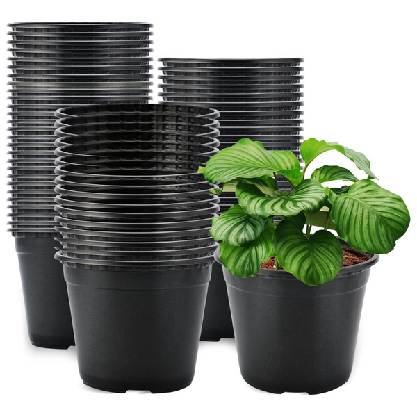 120-Piece Kinglake Garden 4'' Plastic Plants Nursery Pot