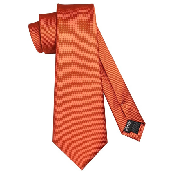 Jemygins Men's 7cm Silk Rust Tie