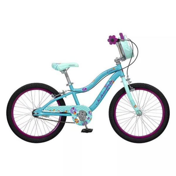 Schwinn Deelite 20" Kids' Bike (Mint Green)