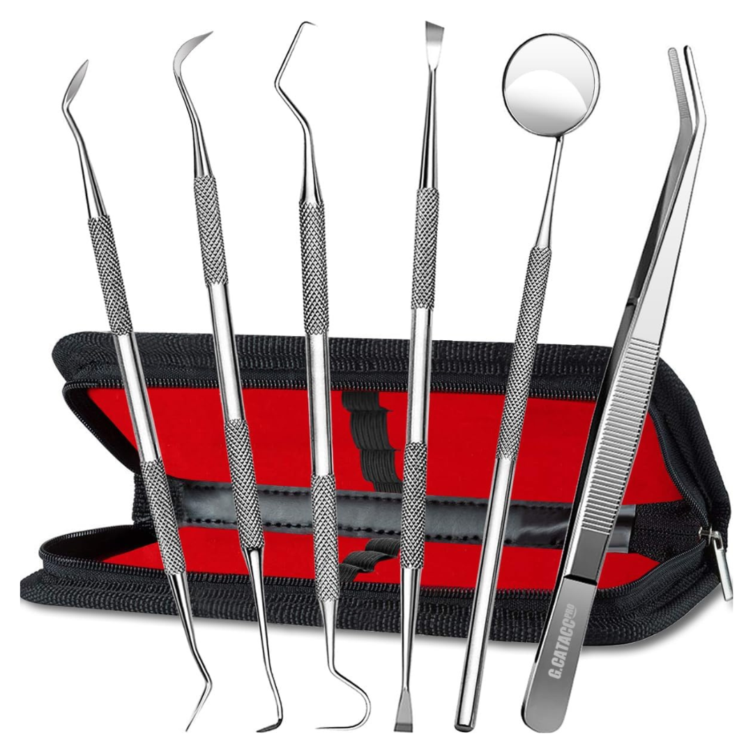 6-Pack G.Catacc Teeth Cleaning Tools Stainless Steel Set (Various)