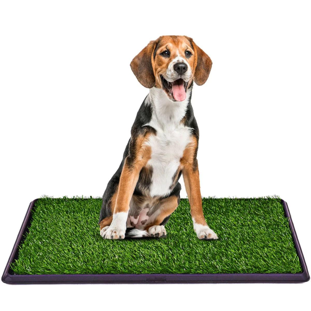 Costway Artificial Grass 30''x20'' Pet Potty Mat