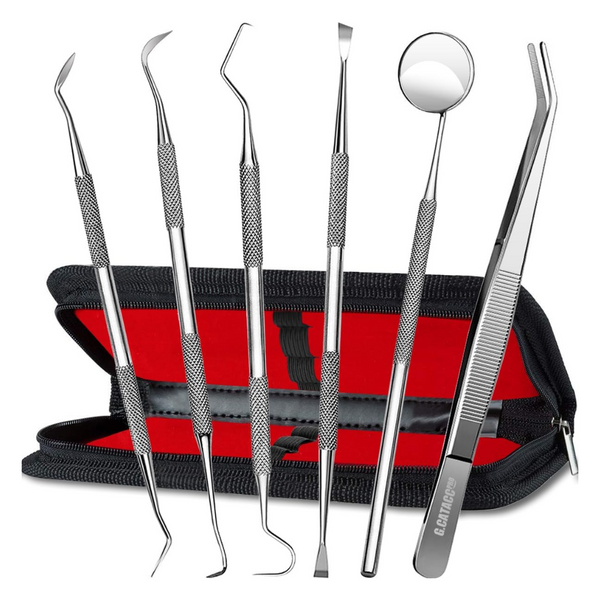 6-Pack G.CATACC Teeth Cleaning Tools Stainless Steel Set (Various)