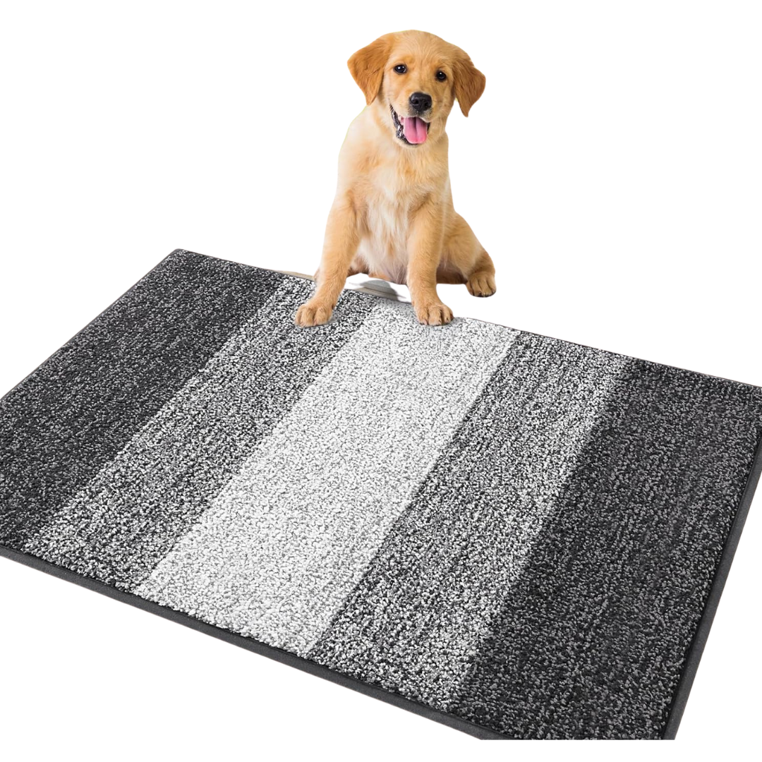 Smiry Low-Profile Entryway Mat For Muddy Paws