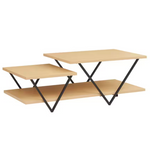 The Urban Port 23.25" Rectangle Wood Coffee Table