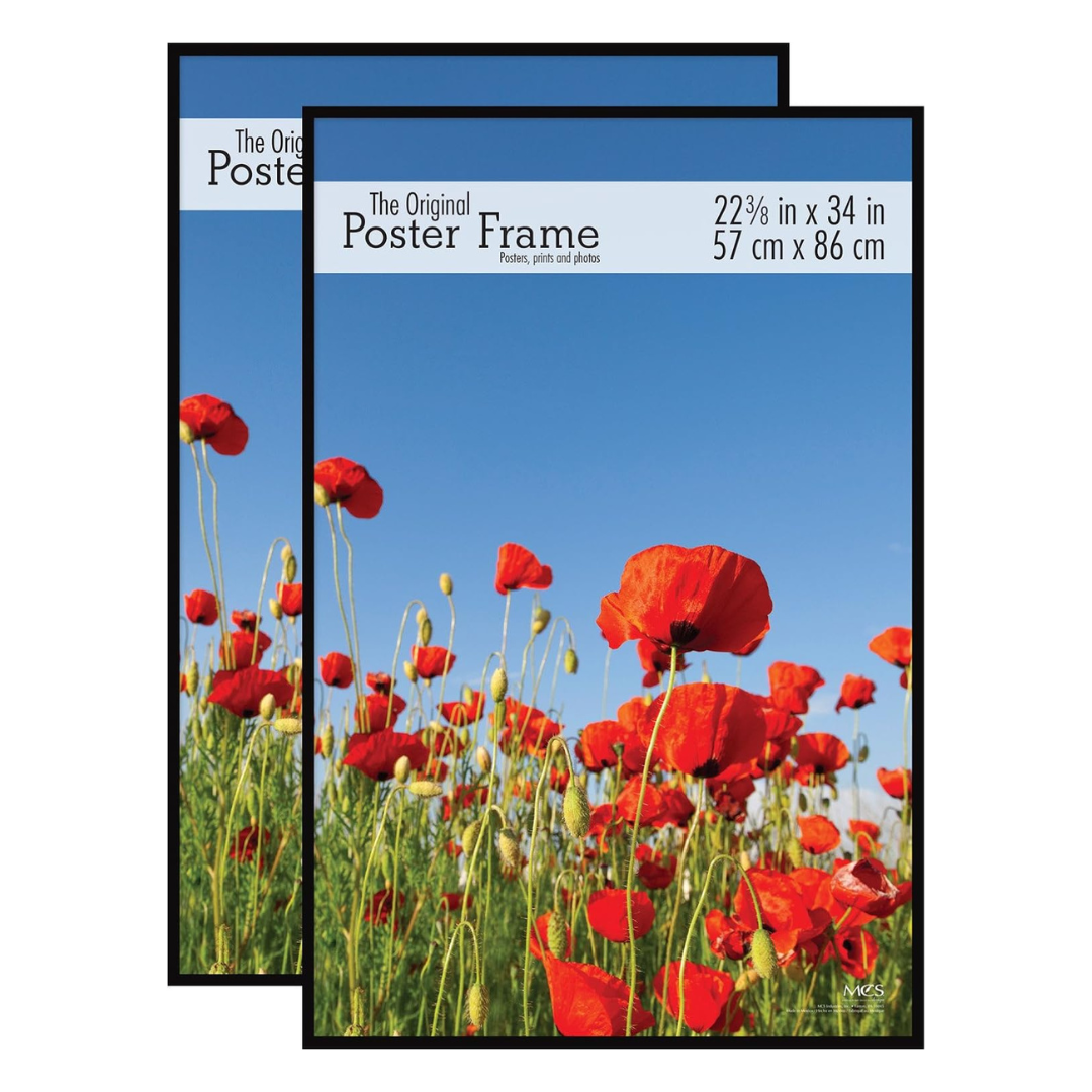 2-Pack 22.375x34 MCS Original Poster Frame