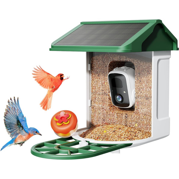 Bird Feeder Camera With Smart AI identifies Bird Species