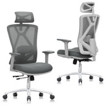 Urboro & Domo B31 Ergonomic Office Chair