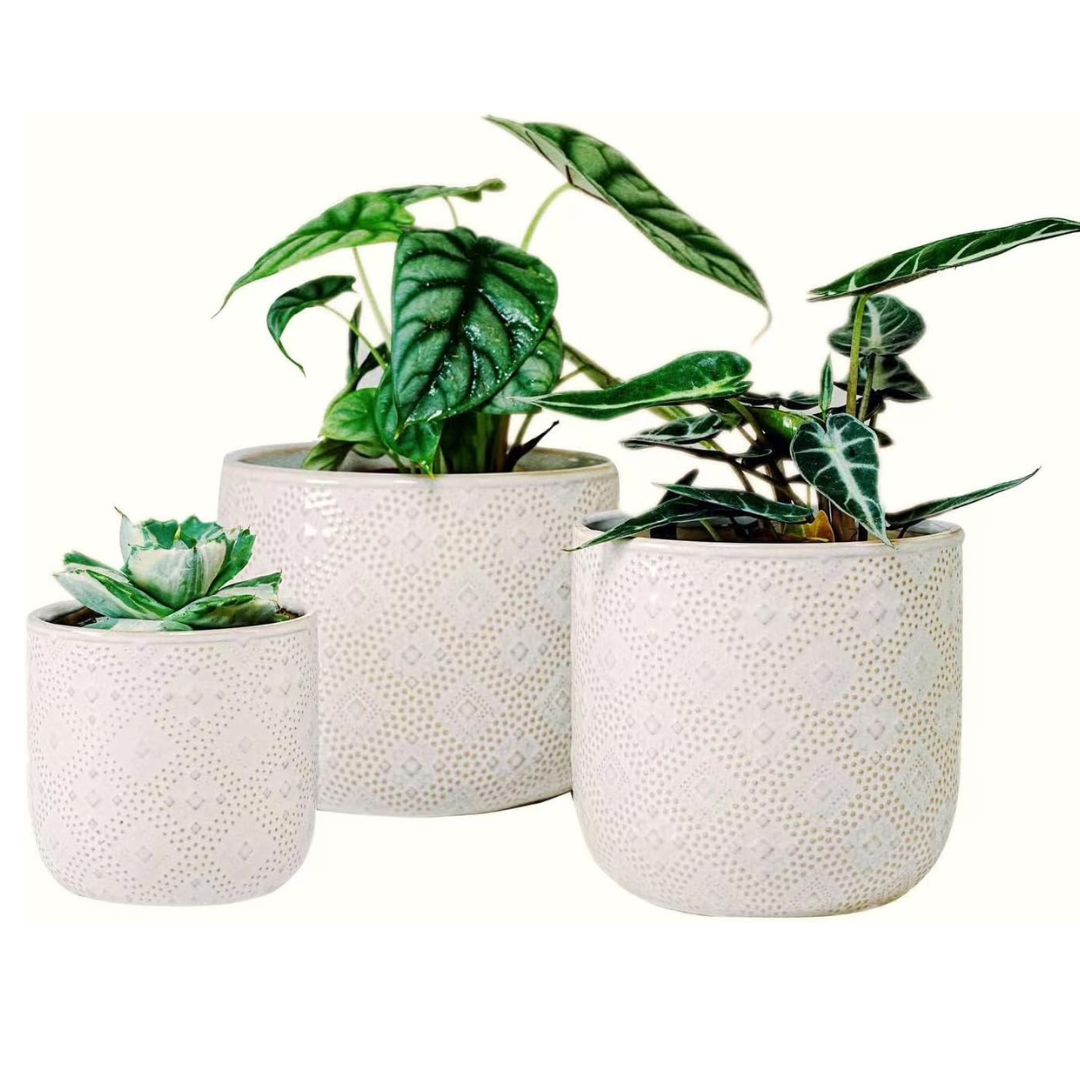 Set Of 3 Modern Ceramic Planters With Drainage Hole