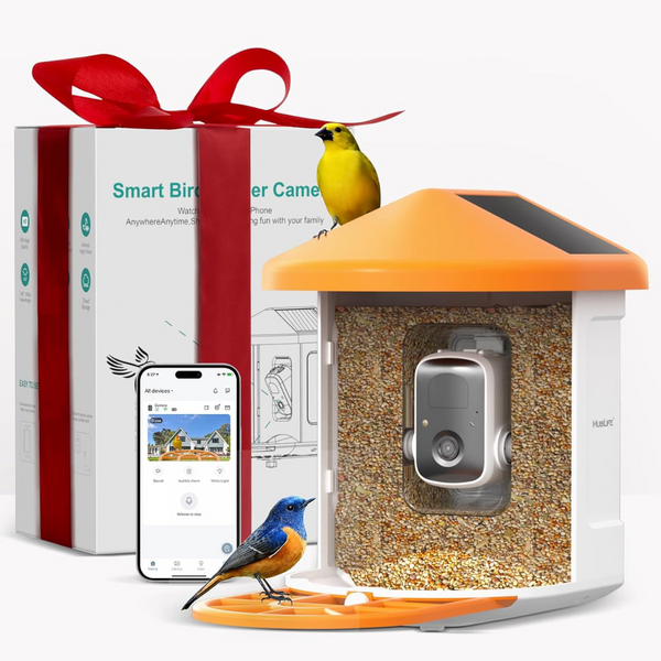 Solar Powered Bird Feeder With Wireless Camera