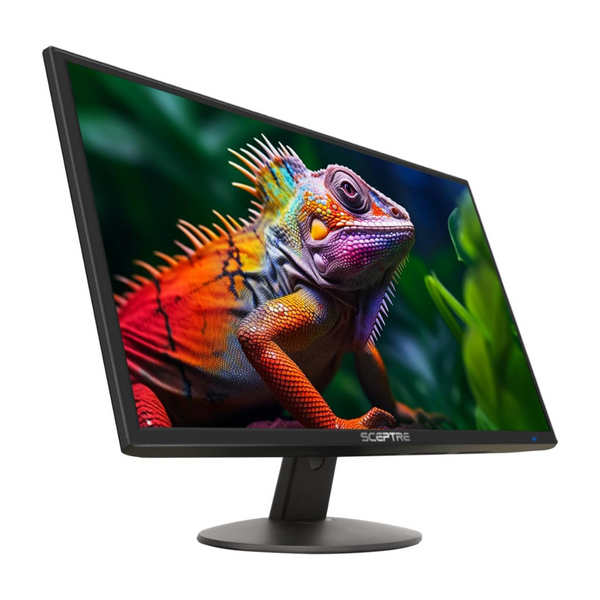 Sceptre E248W-19203R 23.8" FHD LED Monitor