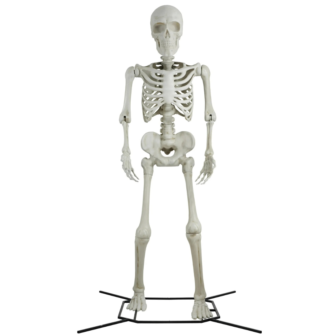 Way To Celebrate Steve the Poseable 10' Skeleton Decoration