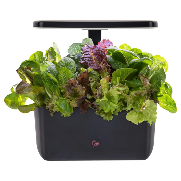 AeroGarden Harvest 2.0, Indoor Garden Hydroponic System With LED Grow Light, Holds Up To 6 AeroGarden Pods