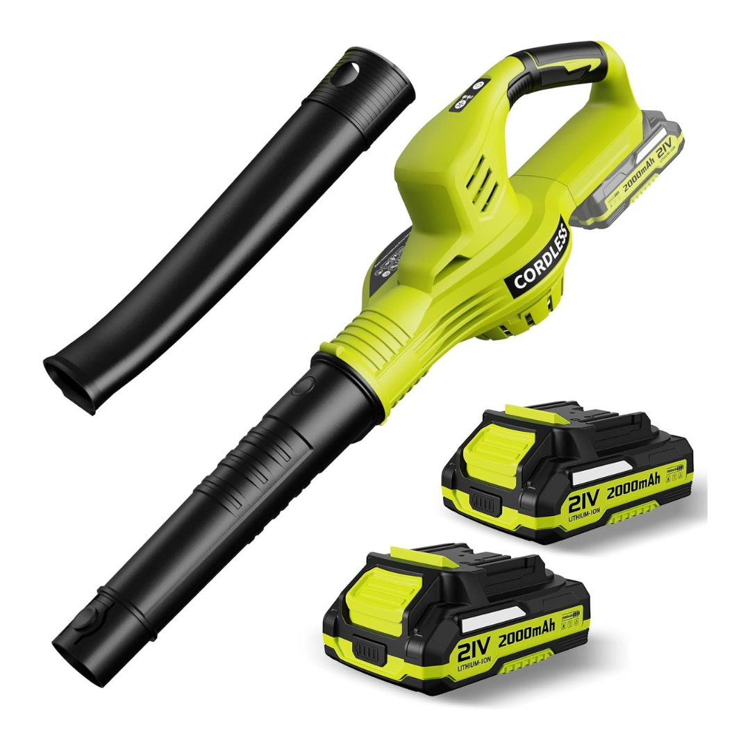 Lazyboi 21V Electric Cordless Leaf Blower With 2 Batteries And Charger