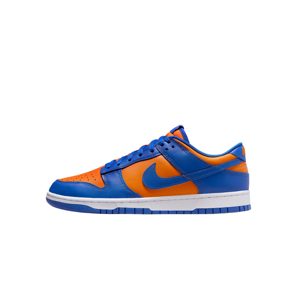 Nike Dunk Low Retro Men's Shoes