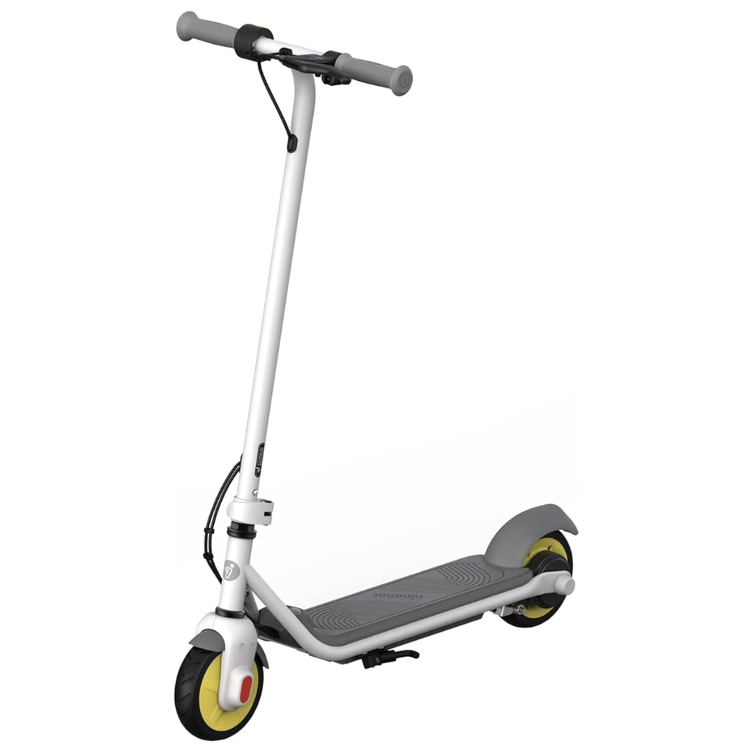 Segway Ninebot Electric Scooter