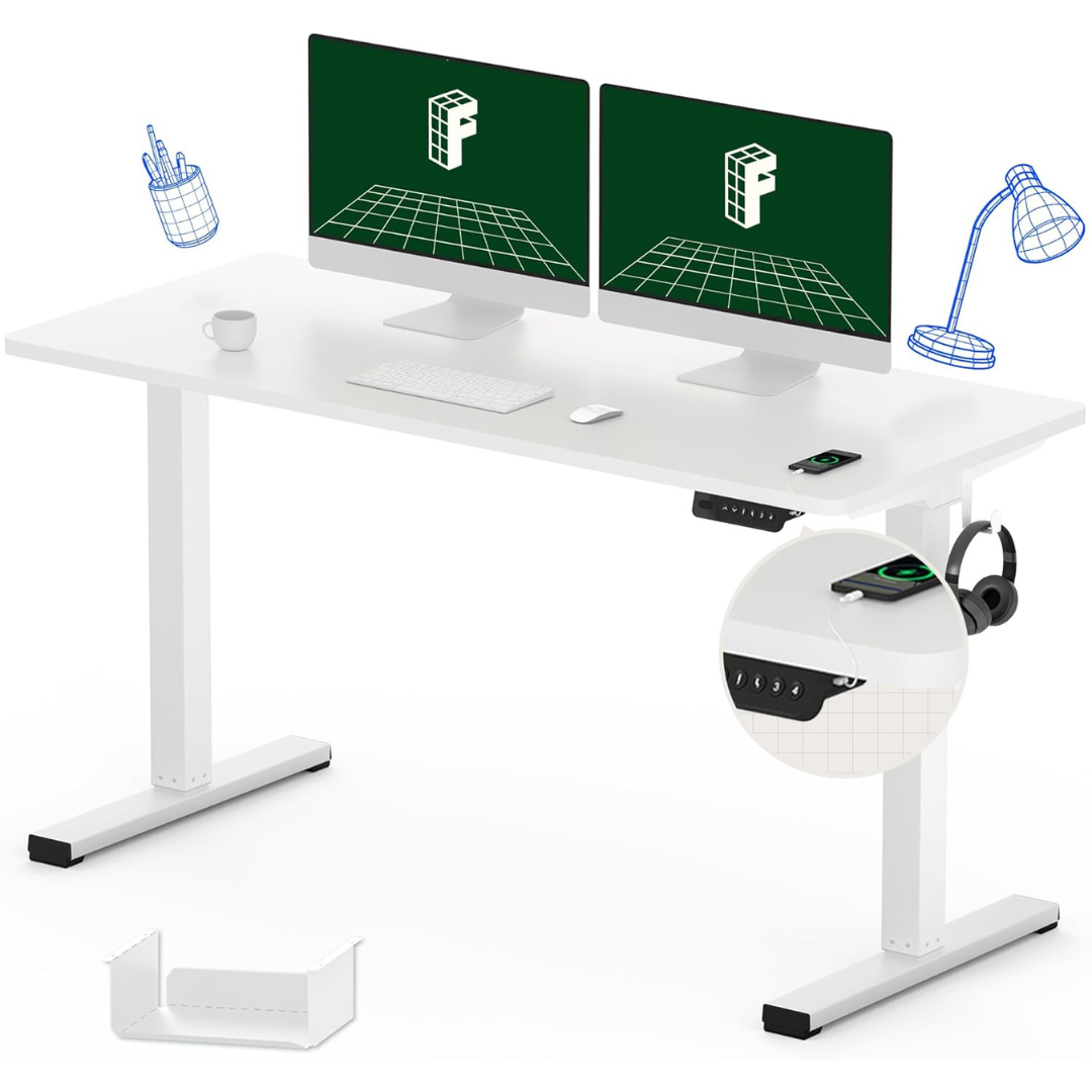 Flexispot 55" x 24" Electric Stand Up/ Standing Desk