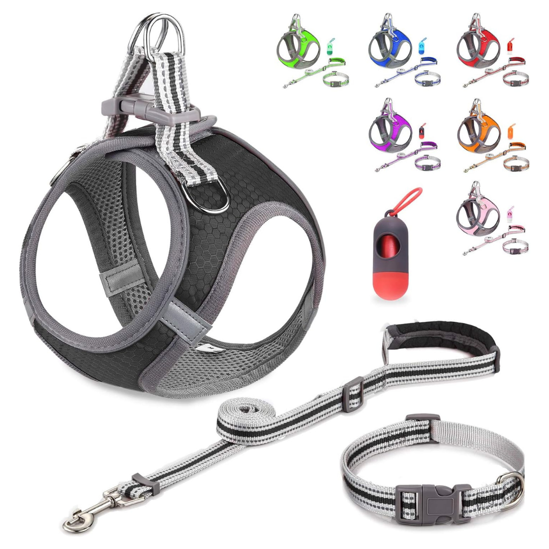 Adjustable Leash And Collar Set For Small Dogs