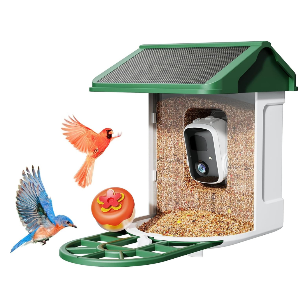 Bird Feeder Camera With Smart AI identifies Bird Species