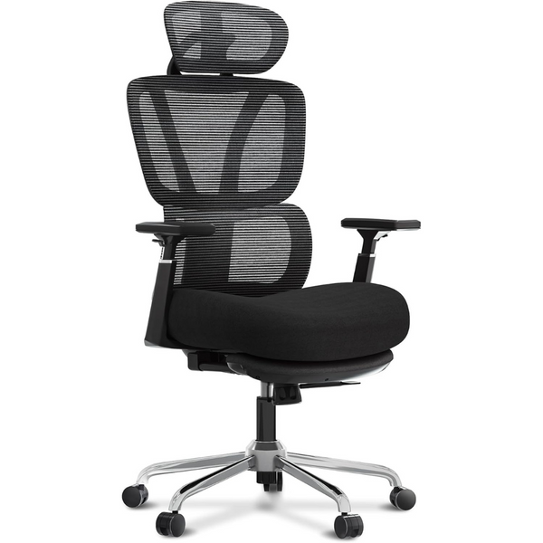 Flexispot OC4 Plus Big and Tall Mesh Computer Desk Chair