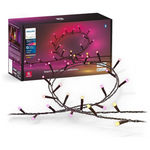 65-Foot Philips Hue Indoor/Outdoor Holiday Festavia String Lights