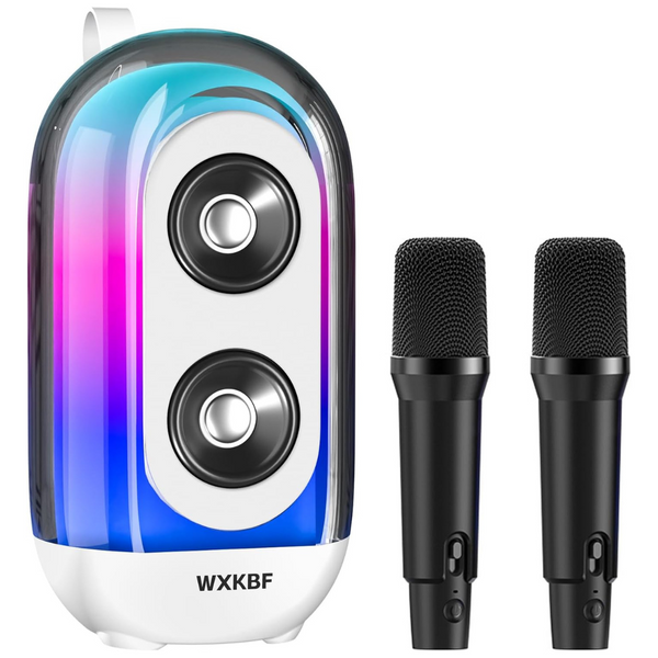 Portable Bluetooth Karaoke Machine With 2 Wireless Microphones