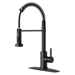 Forious Kitchen Sink Faucet With Pull Down Sprayer