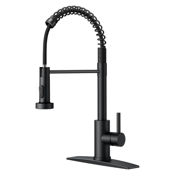 Forious Kitchen Sink Faucet With Pull Down Sprayer