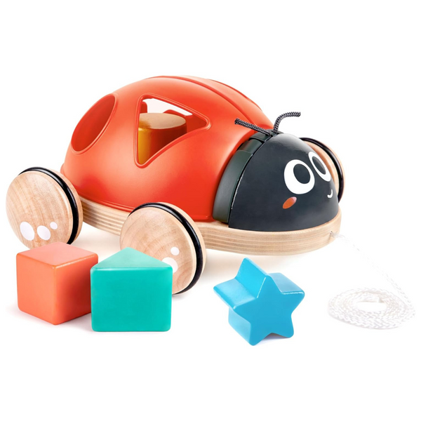 Hape Shape Sorter Ladybug (Medium)