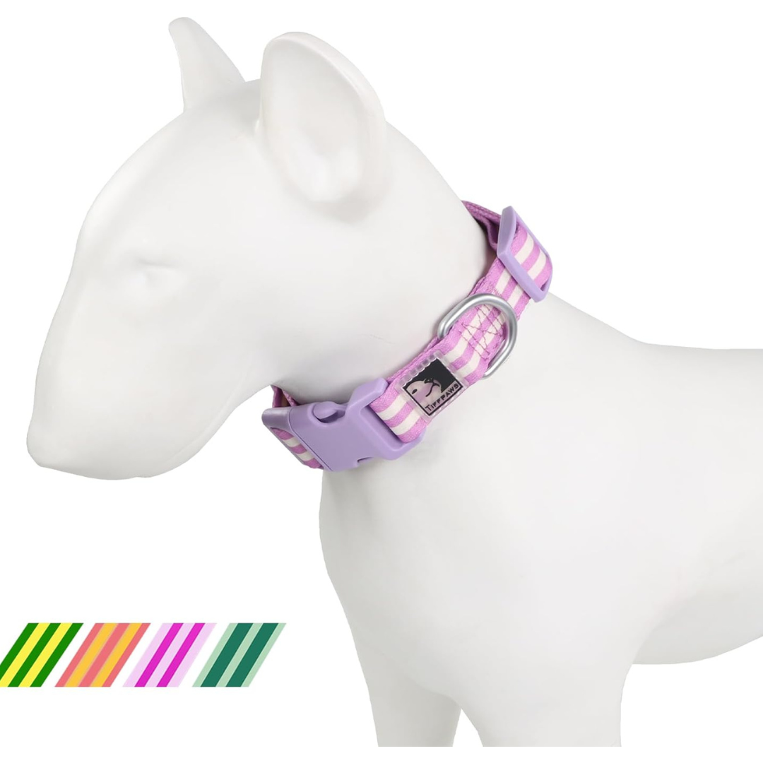 Adjustable Striped Polyester Webbing Personalized Dog Collar