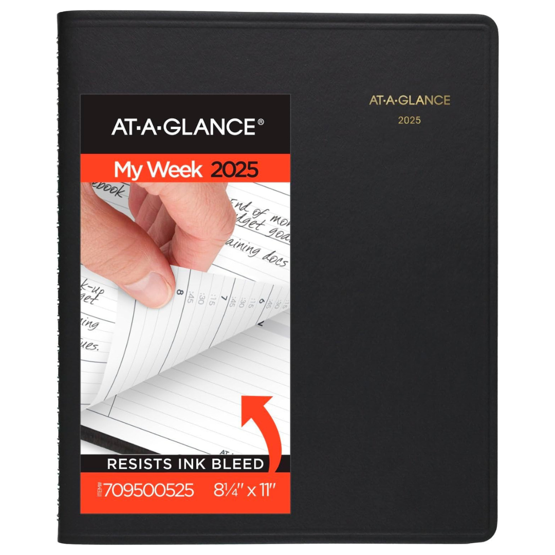 AT-A-GLANCE 2025 Appointment Book Planner