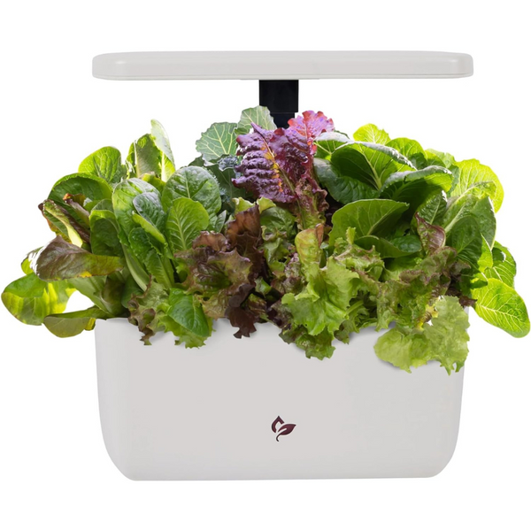 AeroGarden Harvest 2.0 Indoor Garden Hydroponic System w/ LED Grow Light