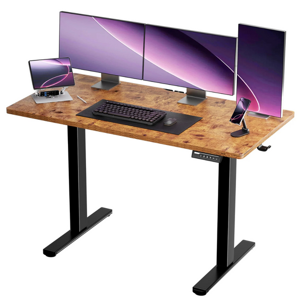 CHITOOMA Kyspho Electric 48 x 24 Inch Height Adjustable Stand Up Desk