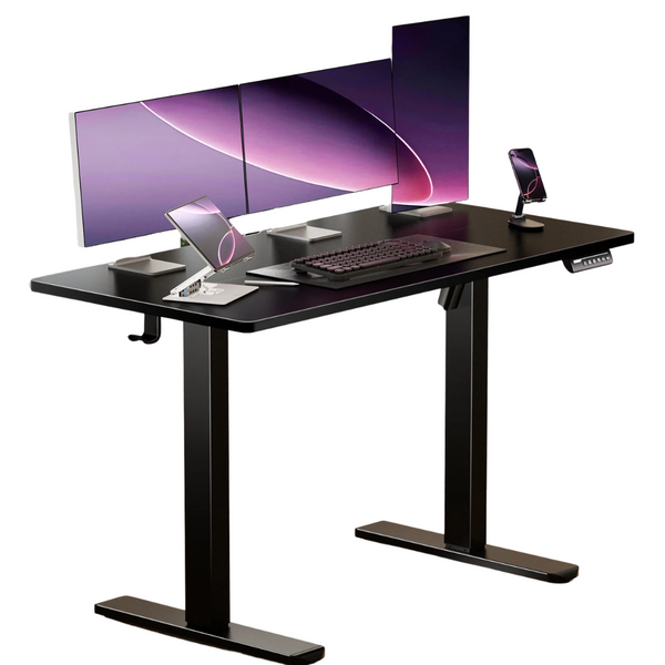 CHITOOMA Electric 48 x 24" Height Adjustable Stand Up Desk W/Memory Preset