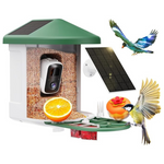 Smart Bird Feeder Camera With AI Identify Bird Species & Dual Solar Panel