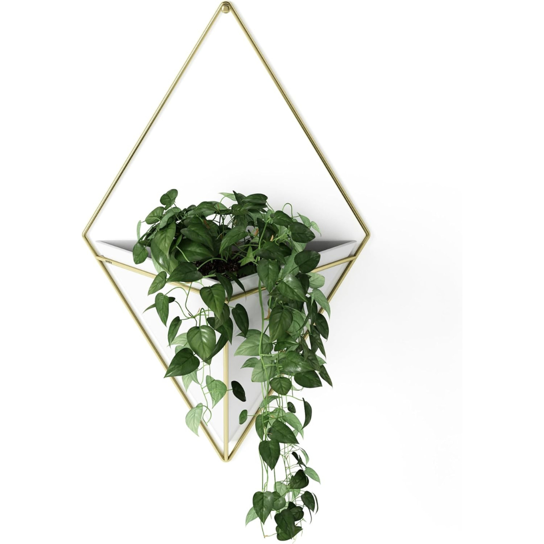 Umbra Trigg Hanging Planter Vase Wall Decor, Pot And Container