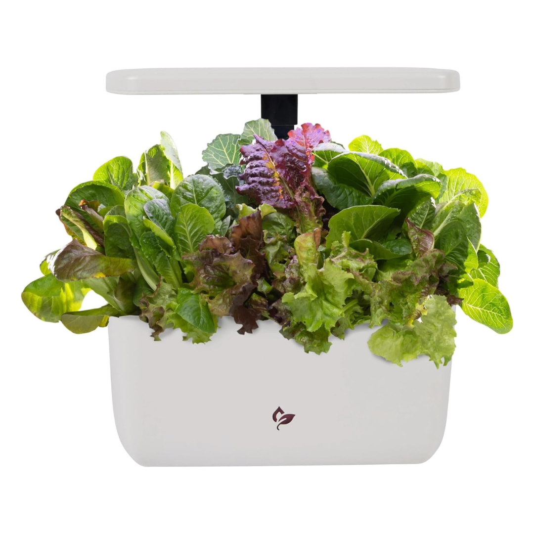 AeroGarden Harvest 2.0 Indoor Garden Hydroponic System W/ LED Grow Light